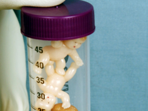 胚胎实验室